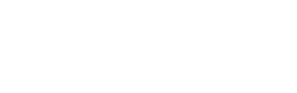 The Financial Services Forum
